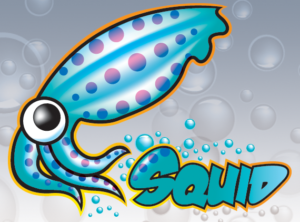 Servidor proxy/cache squid